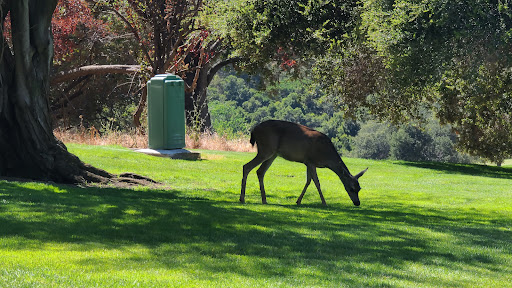 Golf Course «Stanford Golf Course», reviews and photos, 198 Junipero Serra Blvd, Stanford, CA 94305, USA