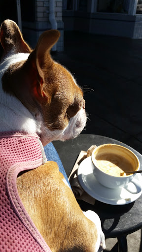 Cafe «Acre Coffee», reviews and photos, 21 4th St, Petaluma, CA 94952, USA