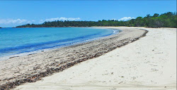 Zdjęcie Ramsay Beach położony w naturalnym obszarze