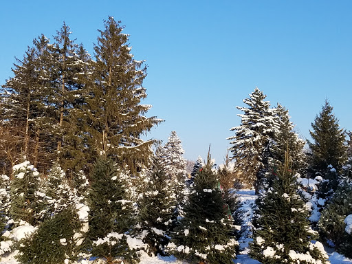 Farm «Abbey Farms», reviews and photos, 2855 Hart Rd, Aurora, IL 60502, USA