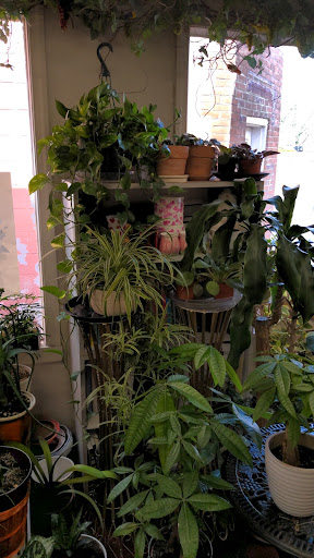 Florist «Bundle Of Roses», reviews and photos, 763 Elden St, Herndon, VA 20170, USA