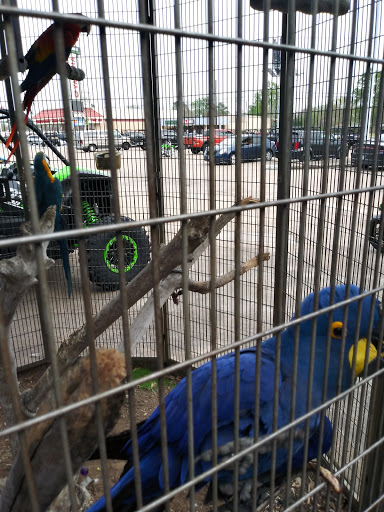 ATV Dealer «Houston Motorsports», reviews and photos, 9550 FM 1960 Road West, Houston, TX 77070, USA