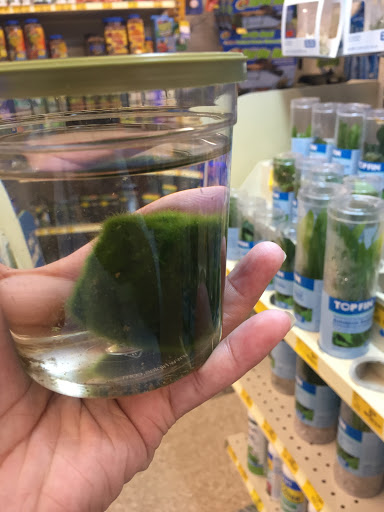 Pet Supply Store «PetSmart», reviews and photos, 4429 Pecanland Mall Dr, Monroe, LA 71203, USA