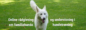 digitalhund.dk
