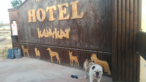 KanYKat - Hotel de superlujo CANINO y FELINO