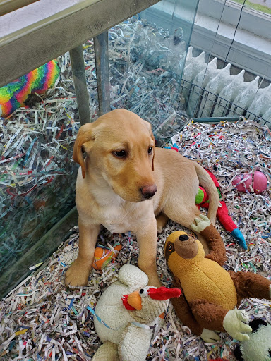 Pet Store «Animal House», reviews and photos, 7869 Hamilton Ave, Cincinnati, OH 45231, USA