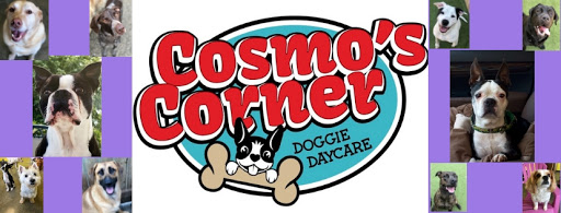 Cosmo's Corner Doggie Day Care