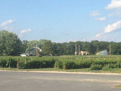 Farm «Four Town Farm», reviews and photos, 90 George St, Seekonk, MA 02771, USA