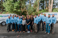 Insight Pest Control - Puyallup - Photo 9 - Car repair in Puyallup, WA, Tacoma