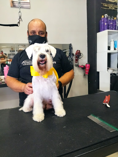 Alquimia peluquería canina sevilla