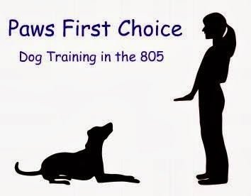 Paws First Choice - Dog Training in the 805