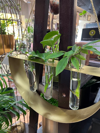 Florist «Mariposa Plants And Flowers», reviews and photos, 801 8th St #110, Greeley, CO 80631, USA