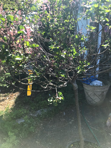 Florist «Cliff Garden Florist», reviews and photos, 13-09 Saddle River Rd, Fair Lawn, NJ 07410, USA