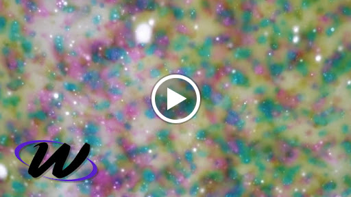 Convenience Store «Weiler Convenience Stores», reviews and photos, 2401 E 4th St, Marshfield, WI 54449, USA