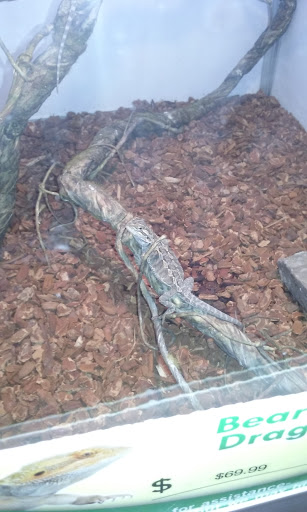 Pet Supply Store «Pet Supermarket», reviews and photos, 2649 E Gulf to Lake Hwy, Inverness, FL 34452, USA