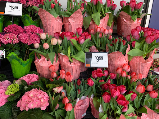 Grocery Store «Giant Food Stores», reviews and photos, 4510 Marketplace Way, Enola, PA 17025, USA