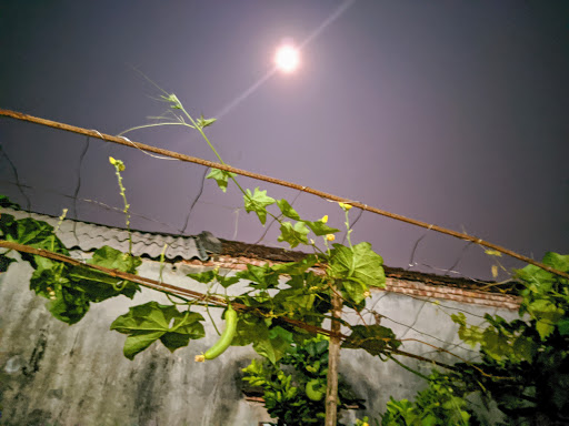 Top 20 cửa hàng bishop Quận Hà Đông Hà Nội 2022