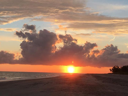 Pet Supply Store «Island Paws», reviews and photos, 630 Tarpon Bay Rd # 5, Sanibel, FL 33957, USA