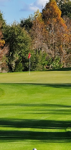 Golf Course «Deer Island Country Club», reviews and photos, 18000 Eagles Club House Way, Tavares, FL 32778, USA