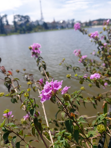 Quán nhậu bờ sông