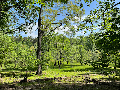 National Park «Guilford Courthouse National Military Park», reviews and photos, 2332 New Garden Rd, Greensboro, NC 27410, USA