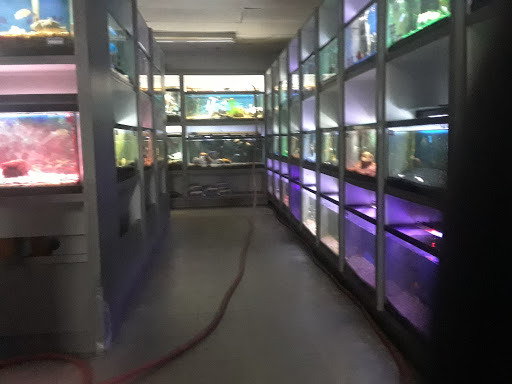 Tropical Fish Store «Something Fishy», reviews and photos, 954 S Wayne Rd, Westland, MI 48186, USA