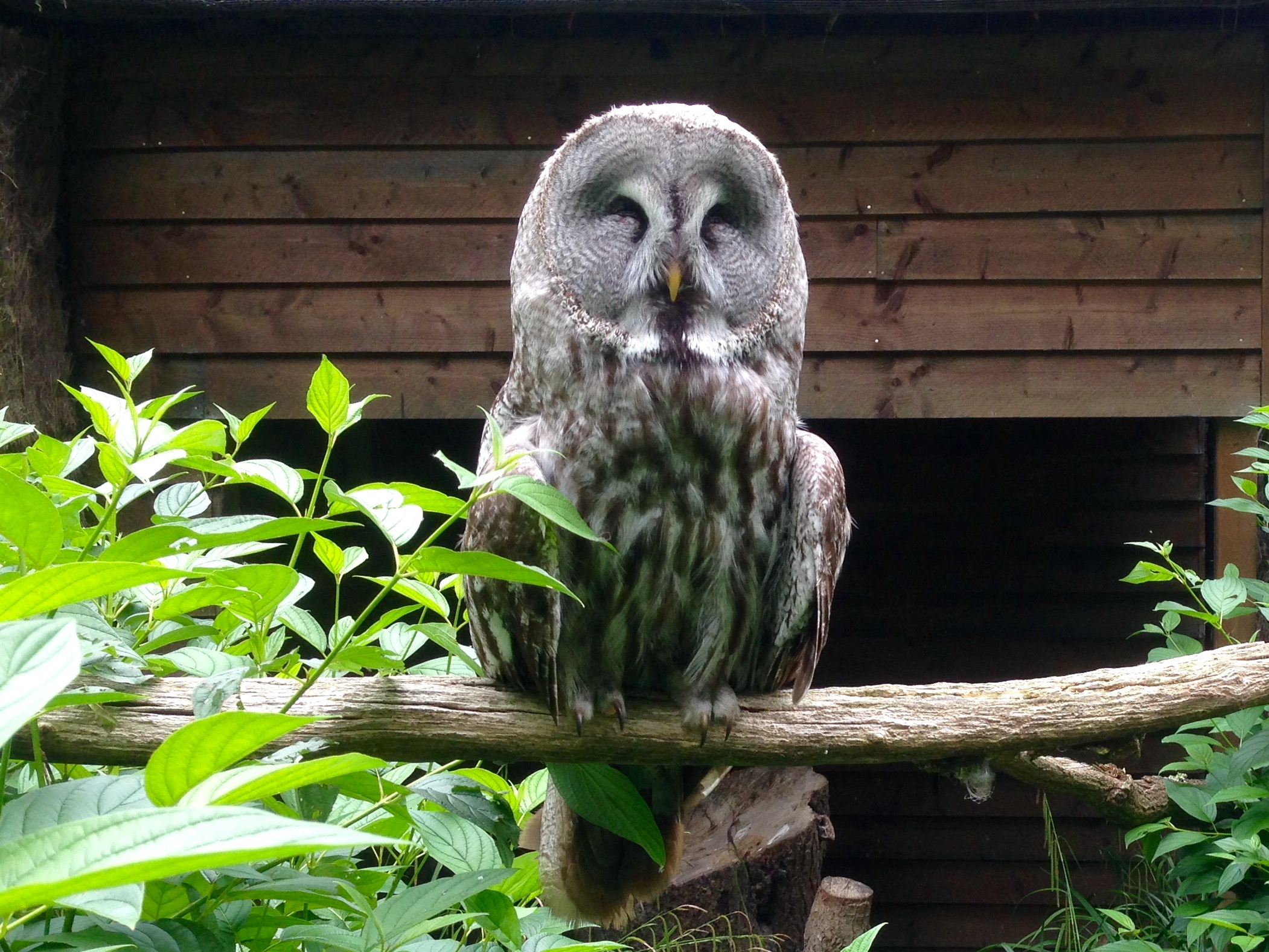 Photo n° 6 de l'avis de John.a fait le 10/06/2018 à 18:52