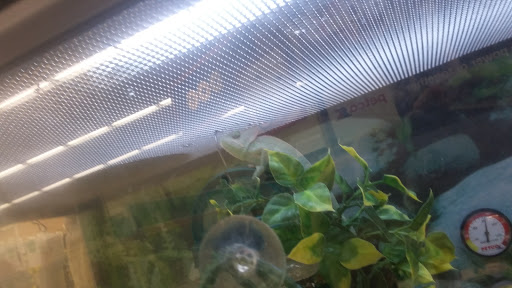 Pet Supply Store «Petco Animal Supplies», reviews and photos, 244 Pioneer Trail, Chaska, MN 55318, USA