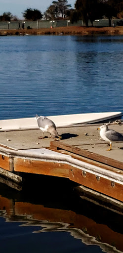 Public Golf Course «Shoreline Golf Links», reviews and photos, 2940 N Shoreline Blvd, Mountain View, CA 94043, USA