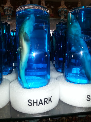 Coffee Shop «Starbucks», reviews and photos, 105 Fireworks Alley, St Augustine, FL 32092, USA