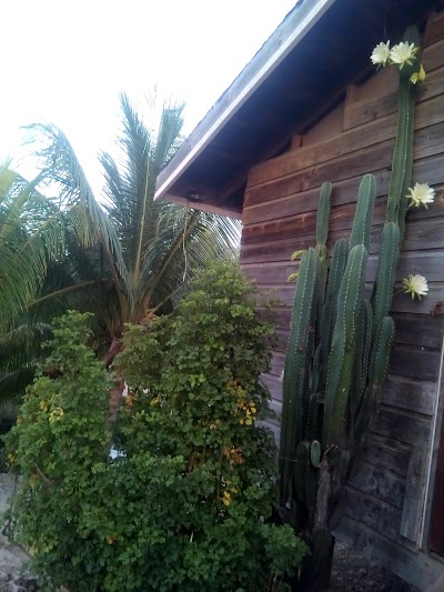 Photos of Condorito Guesthouse