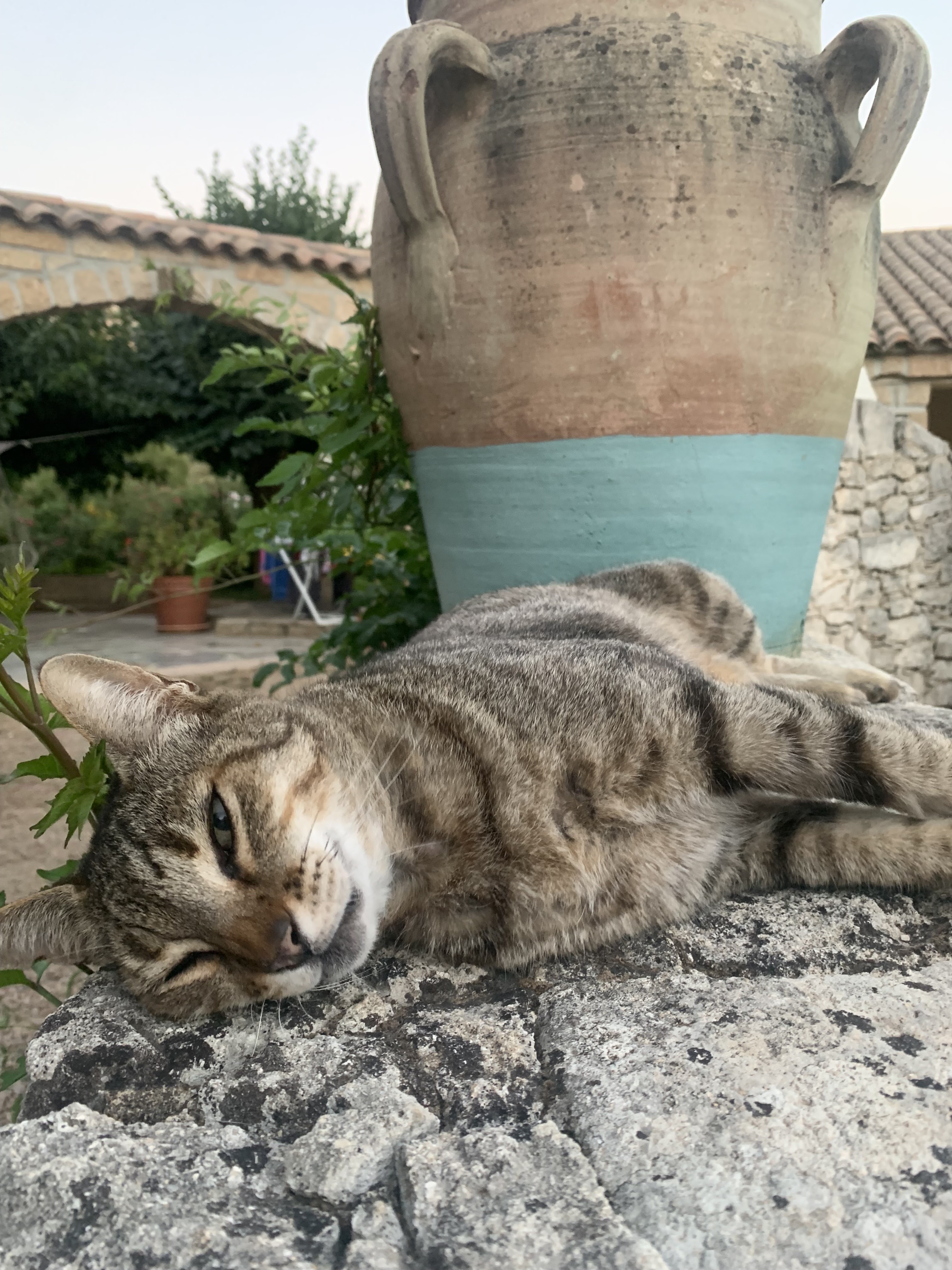 Photo n° 1 de l'avis de Robin.o fait le 10/08/2022 à 18:29