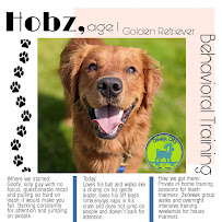 Dawgg City SF, LLC. - Photo 5 - Car repair in , Daly City