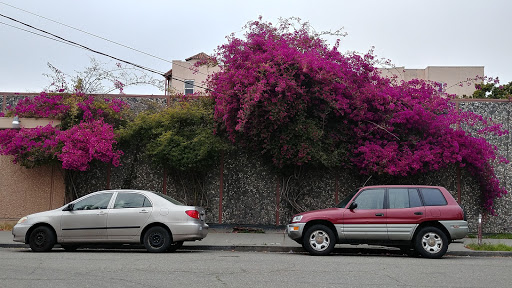 Liquor Store «White Horse Liquors», reviews and photos, 6606 Telegraph Ave, Oakland, CA 94609, USA
