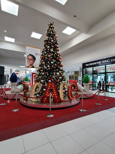 Christmas store Hayward