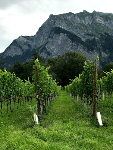 Dröschistrasse 4, 9495 Triesen, Liechtenstein