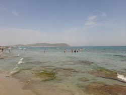 Photo de Dar Allouche Beach avec un niveau de propreté de très propre