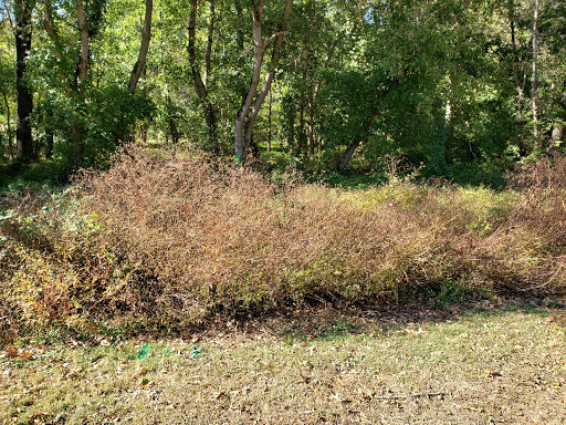 Park «Meadowbrook Local Park», reviews and photos, 7901 Meadowbrook Ln, Chevy Chase, MD 20815, USA