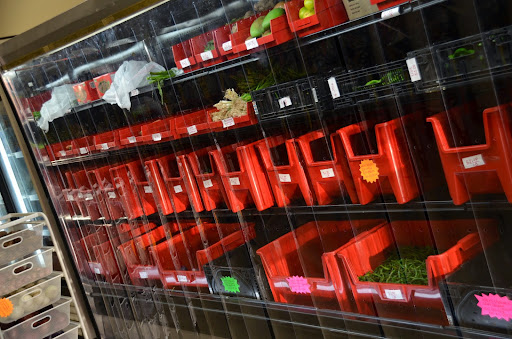 Indian Grocery Store «Indian Grocery Store & Restaurant», reviews and photos, 3853 S Cleveland Ave #6, Fort Myers, FL 33901, USA