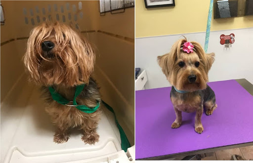 Pet Supply Store «Animal House Grooming & Quality», reviews and photos, 229 W Absecon Blvd, Absecon, NJ 08201, USA