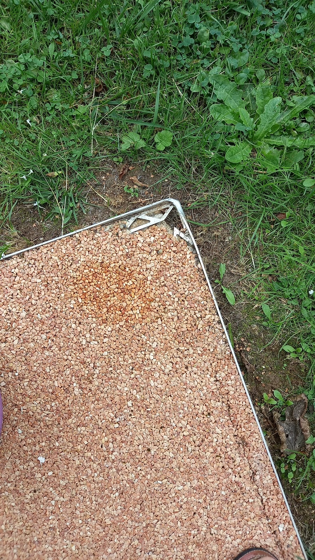 Photo n° 1 de l'avis de DENISE.O fait le 16/09/2023 à 15:27