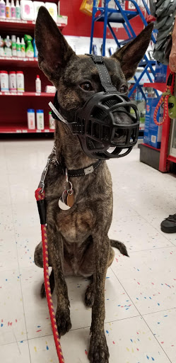 Pet Supply Store «Petco Animal Supplies», reviews and photos, 5481 Lone Tree Way, Brentwood, CA 94513, USA