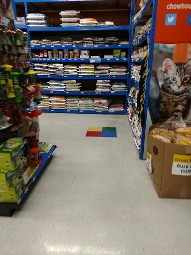 Pet Supply Store «Chow Hound Pet Supplies», reviews and photos, 5265 Northland Dr NE, Grand Rapids, MI 49525, USA