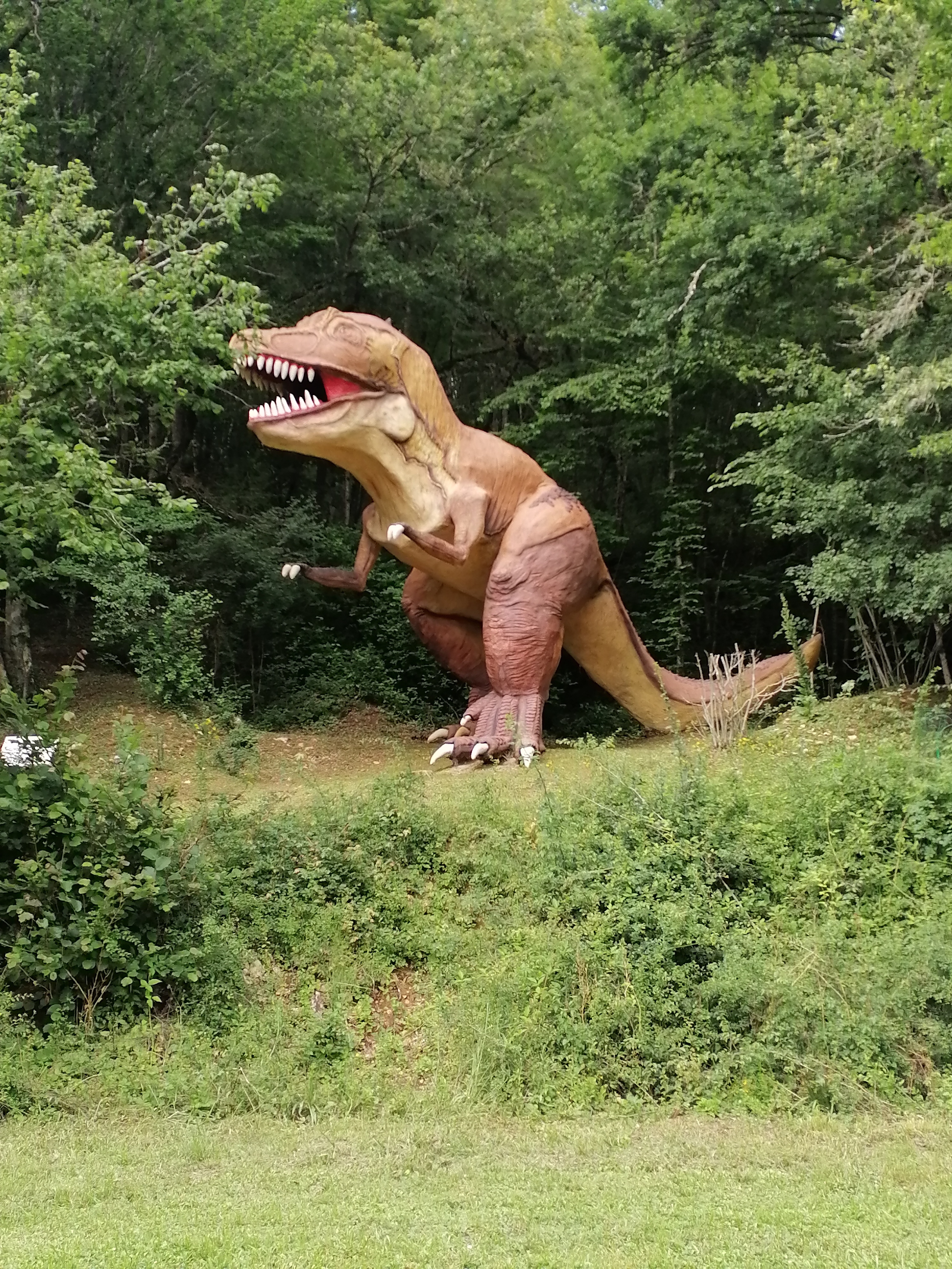 Photo n° 3 de l'avis de Virginir.e fait le 08/07/2021 à 21:38