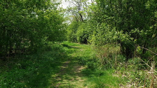 Nature Preserve «Penny Road Pond», reviews and photos, Penny Rd, Barrington, IL 60010, USA