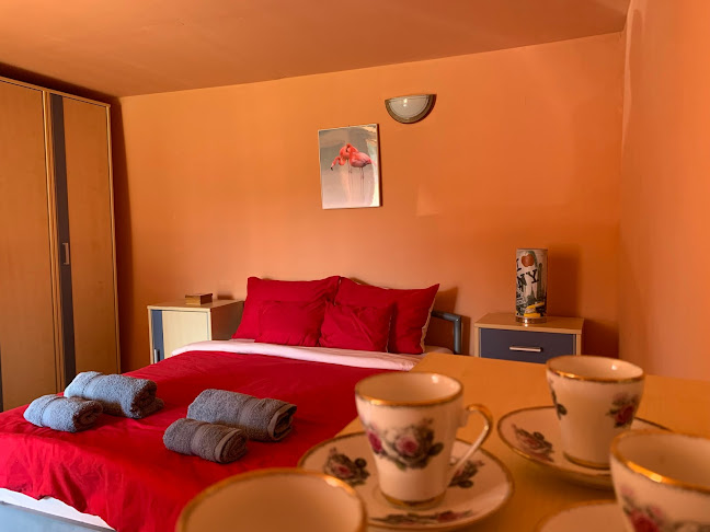 Opinii despre Tiszai Fenyves Apartman în Tiszadorogma - Szálloda