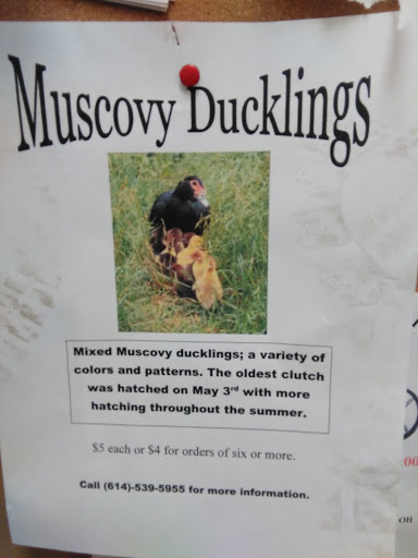 Department Store «Rural King», reviews and photos, 23625 US-23, Circleville, OH 43113, USA