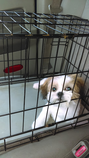 Pet Supply Store «The Dog House», reviews and photos, 4237 S Alameda St, Corpus Christi, TX 78412, USA