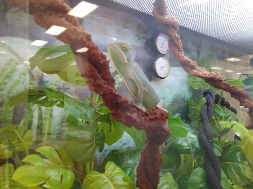 Pet Supply Store «Petco Animal Supplies», reviews and photos, 1425 N Montebello Blvd, Montebello, CA 90640, USA