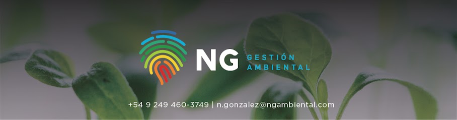 NG ambiental